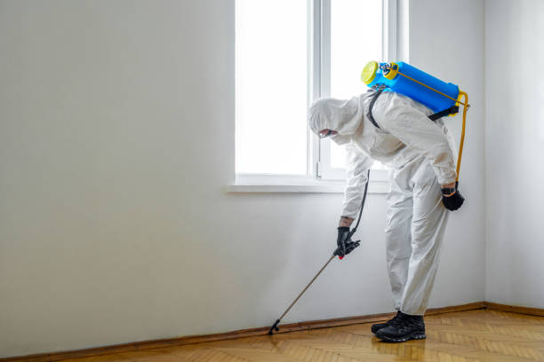 Pest Control for Restaurants in Caldwell, TX