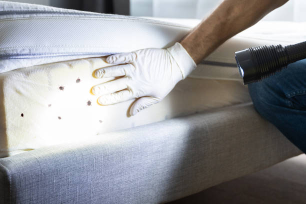 Best Exterminator Services  in Caldwell, TX