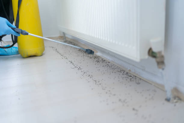  Caldwell, TX Pest Control Pros
